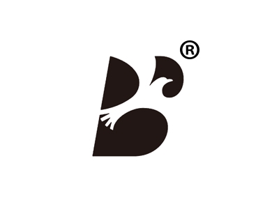 鹰B