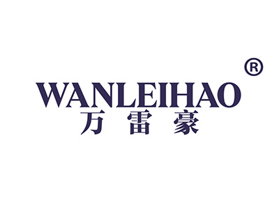 万雷豪