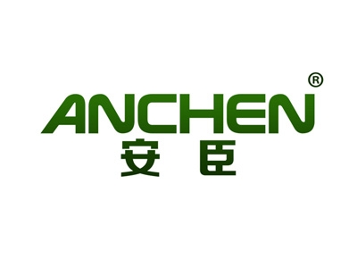 安臣
