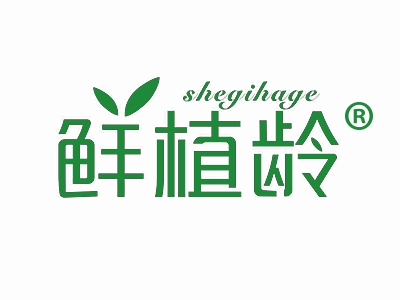 鲜植龄