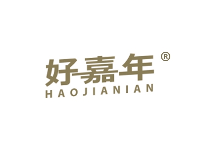 好嘉年