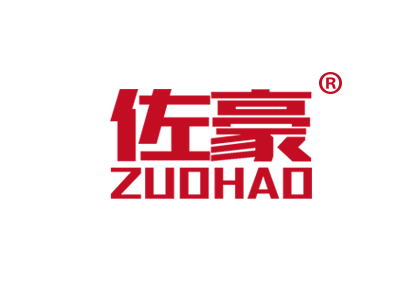 佐豪
