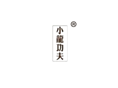 小龙功夫