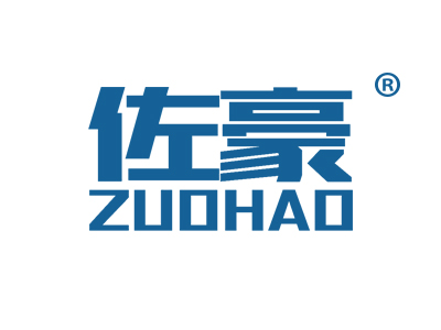 佐豪