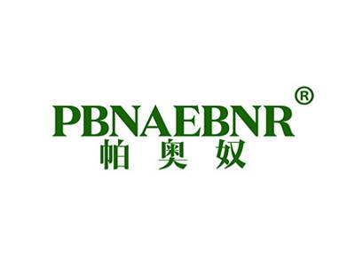 帕奥奴