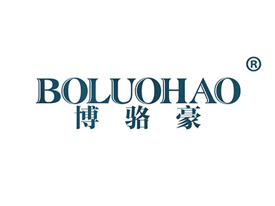 博骆豪