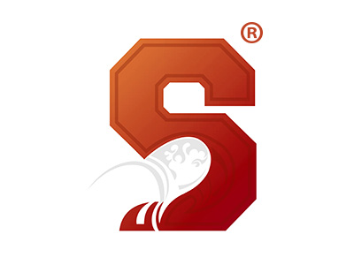 S图形29477116