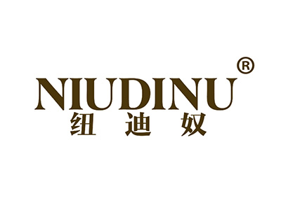 纽迪奴