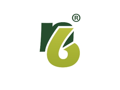 字母N6