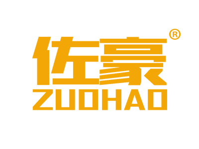 佐豪