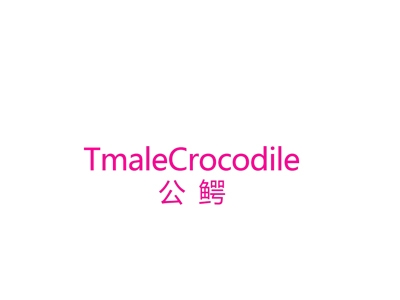 公鳄