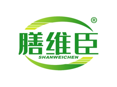 膳维臣