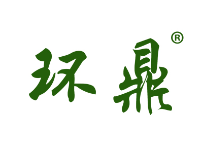 环鼎