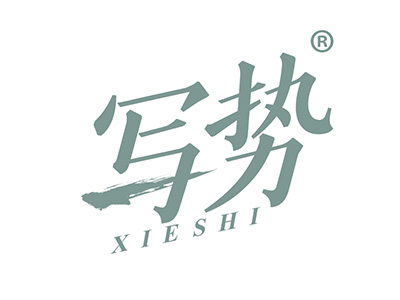 写势