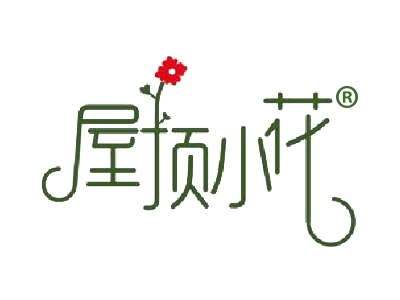 屋顶小花