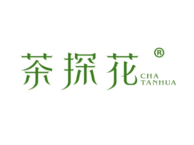 茶探花