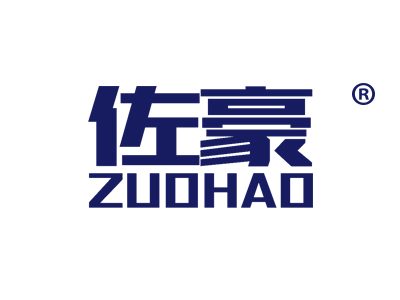 佐豪