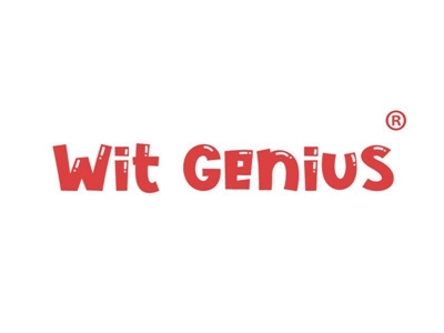 WIT GENIUS“机智天才”
