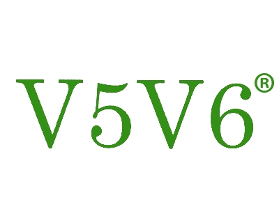 V5V6
