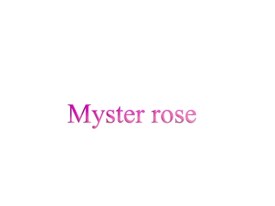 MYSTER ROSE玫瑰之谜