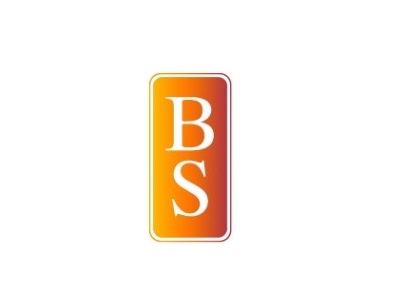 BS，擦边BOSS