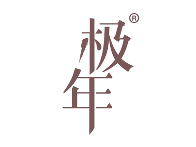 极年