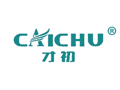 才初