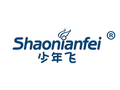 少年飞