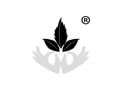 三叶草