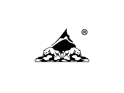 豹