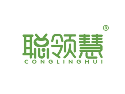 聪领慧
