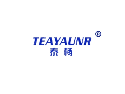 泰杨